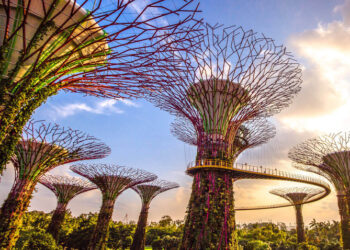 Garden By The Bay Singapore