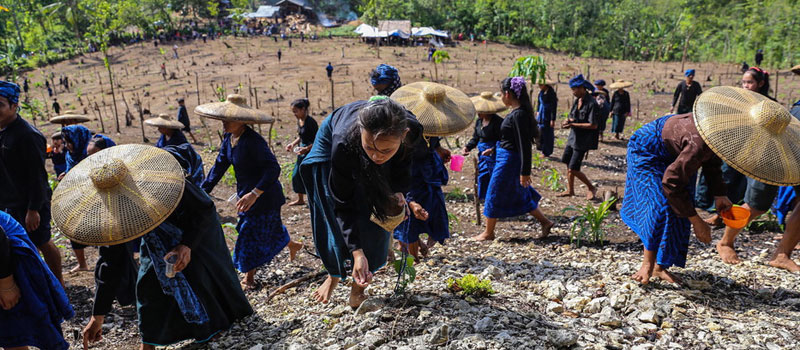 Aktivitas Ekonomi dan Pertanian Suku Baduy Berasal Dari Keseimbangan Alam