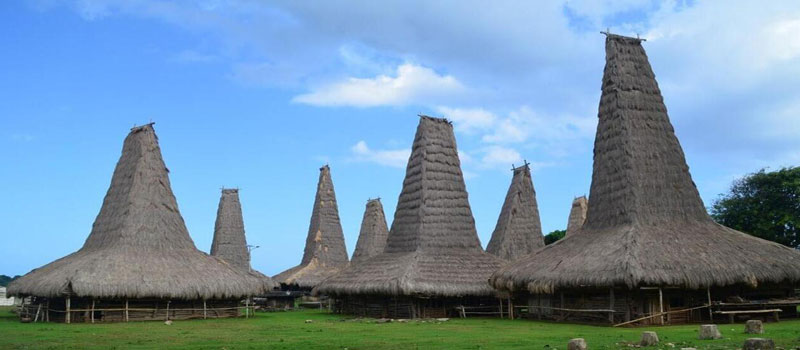 Arsitektur Rumah Adat Khas Sumba Barat