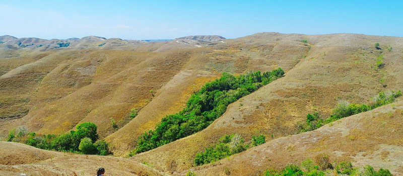 Bukit Wairinding di Mata Dunia Pariwisata