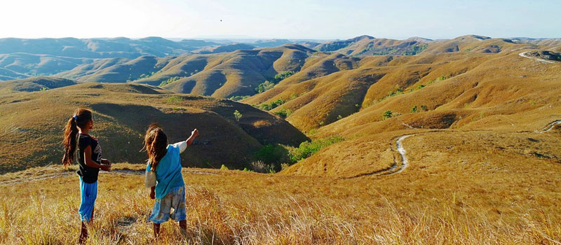 Daya Tarik Bukit Wairinding Sumba Timur