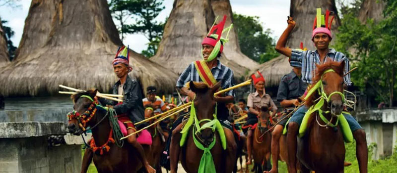 Festival Budaya dan Tradisi Lokal