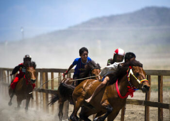 Kabupaten Sumba Timur