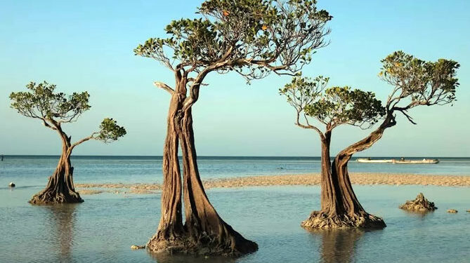 Pantai Walakiri Sumba Timur