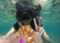 Taman Nemo Pahawang