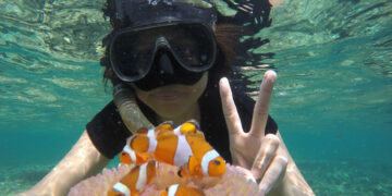 Taman Nemo Pahawang