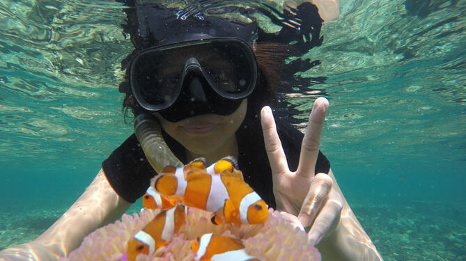 Taman Nemo Pahawang
