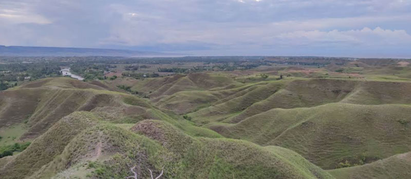 Waktu Terbaik Berkunjung ke Bukit Tenau