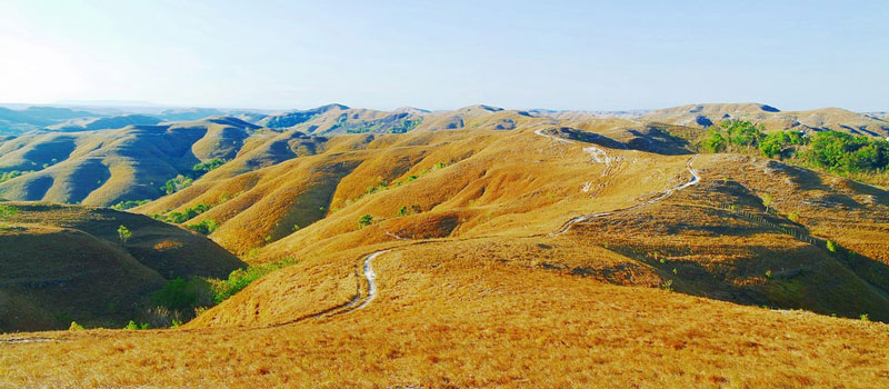Waktu Terbaik Berkunjung ke Bukit Wairinding Sumba Timur