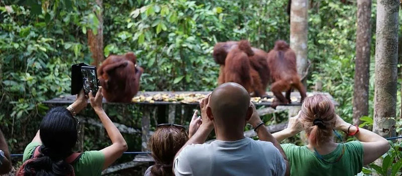 Aktivitas Wisata di Camp Tanjung Harapan Wharf