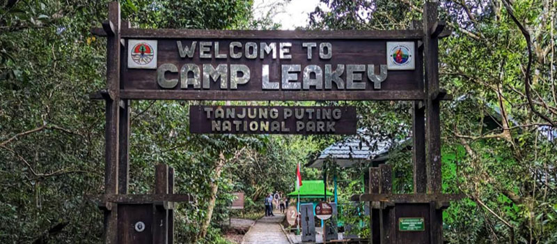 Camp dan Kawasan Pengamatan Taman Nasional Tanjung Puting