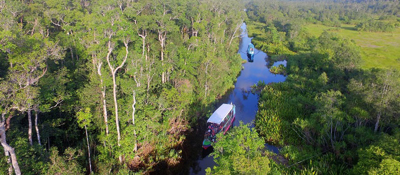Jalur Sungai dan Ekowisata di Taman Nasional Tanjung Puting