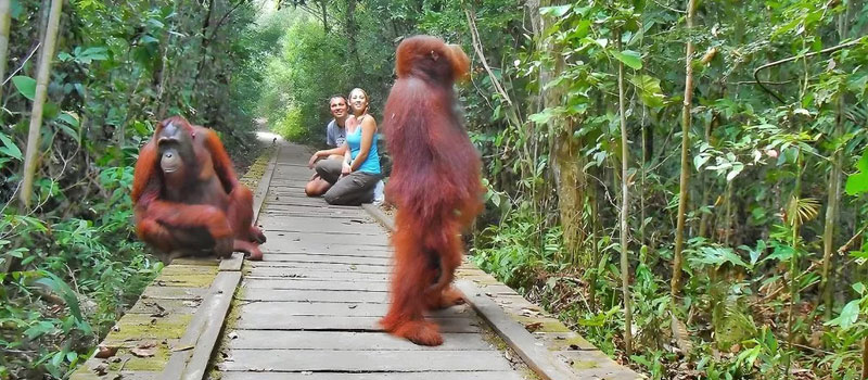 Nilai Edukatif dan Ekonomi Lokal Taman Nasional Tanjung Puting