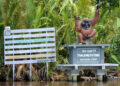 Taman Nasional Tanjung Puting
