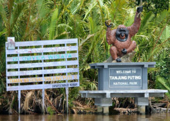 Taman Nasional Tanjung Puting