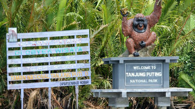 Taman Nasional Tanjung Puting