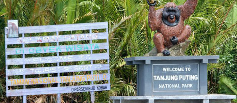 Tips Penting bagi Nesian Trippers untuk ke Taman Nasional Tanjung Puting