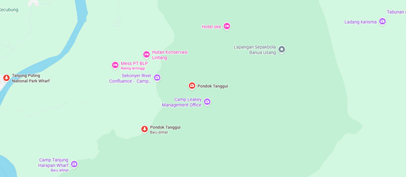Lokasi Strategis dan Rute Perjalanan Pondok Tangguy Camp Leakey
