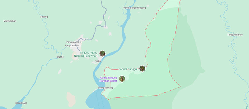 Lokasi dan Akses Menuju Sungai Sekonyer