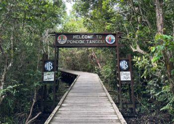 Pondok Tanggui Camp Leakey di Taman Nasional Tanjung Puting Tournesia