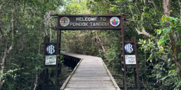 Pondok Tanggui Camp Leakey di Taman Nasional Tanjung Puting Tournesia