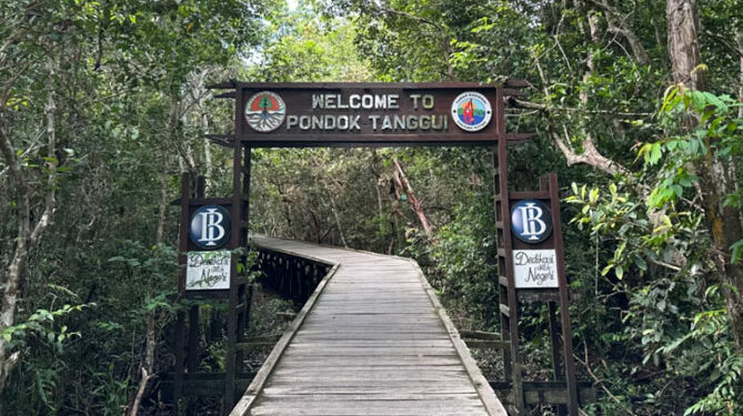 Pondok Tanggui Camp Leakey di Taman Nasional Tanjung Puting Tournesia