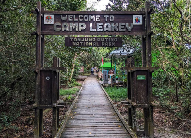 Pondok Tanggui Camp Leakey di Taman Nasional Tanjung Puting