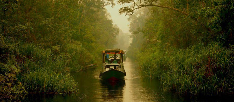 Sejarah dan Asal Usul Sungai Sekonyer