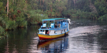 Sungai Sekonyer Kalimantan Tengah Eksotisme dan Pesona Alami