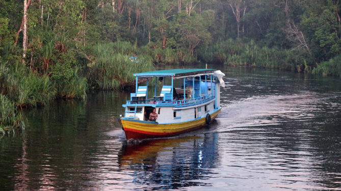 Sungai Sekonyer Kalimantan Tengah Eksotisme dan Pesona Alami