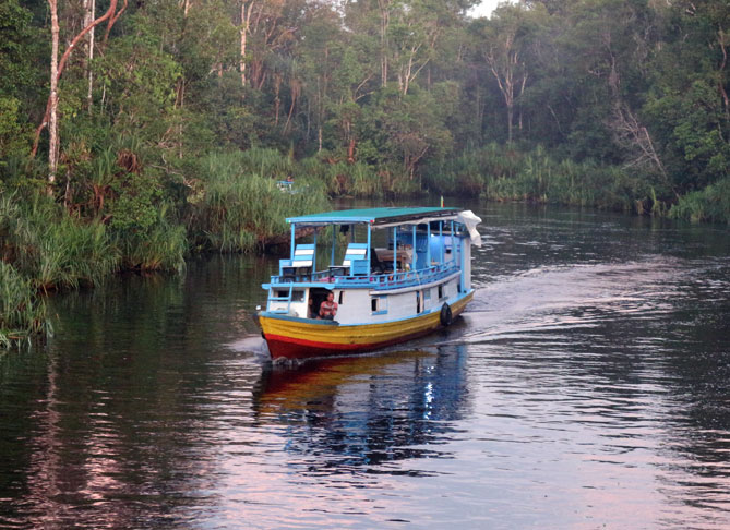 Sungai Sekonyer Kalimantan Tengah Eksotisme dan Pesona Alami