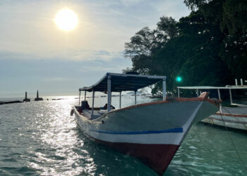 Destinasi Terbaik Saat Open Trip Pulau Harapan Tournesia