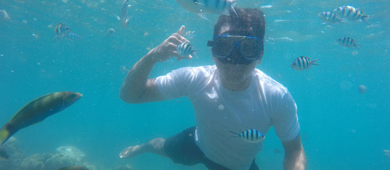 Menikmati Snorkeling di Perairan Pulau Harapan