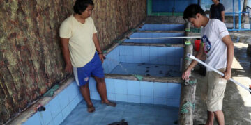 Penangkaran Penyu Pulau Harapan Kepulauan Seribu