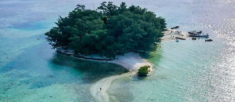 Pulau Dolphin Surga Snorkeling dengan Ikan Warna-Warni
