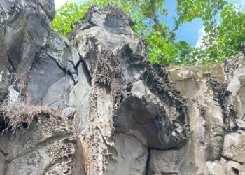 Columnar Joint Banda Neira Tournesia