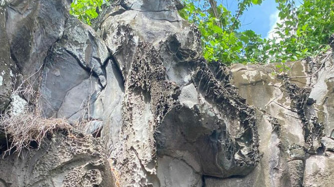 Columnar Joint Banda Neira Tournesia