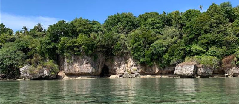 Keanekaragaman Hayati dan Ekosistem Pesisir