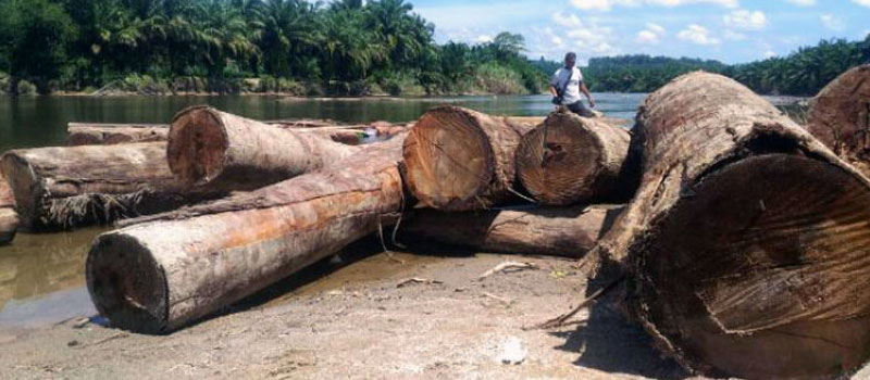 Konstruksi dan Proses Pembuatannya Pompong Mentawai