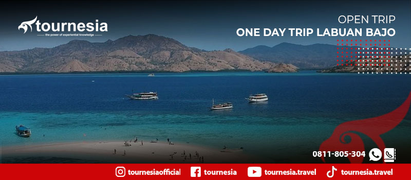 Menikmati Keindahan Alam Pulau Gusung dengan One Day Labuan Bajo