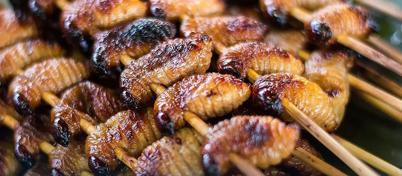 Ragam Olahan Tradisional Berbahan Ulat Sagu Mentawai