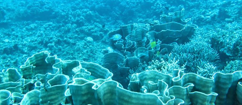 Aktivitas Wisata Menarik Yang Bisa Dilakukan