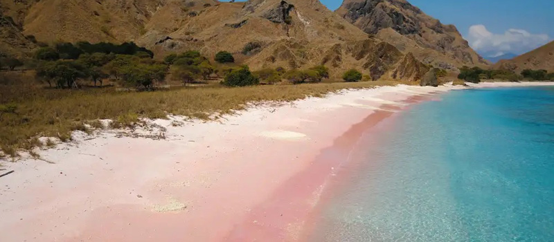 Asal Usul Nama Long Beach dan Keunikannya