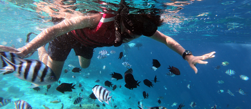 Keindahan Bawah Laut Long Beach Labuan Bajo untuk Snorkeling