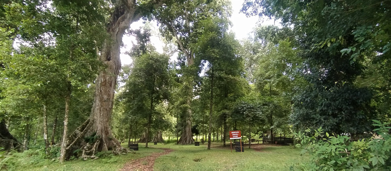 Kondisi Alam Banda Neira yang Mendukung Perkebunan Pala