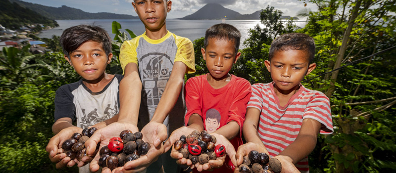 Nilai Ekonomi dan Daya Saing Pala Banda Neira