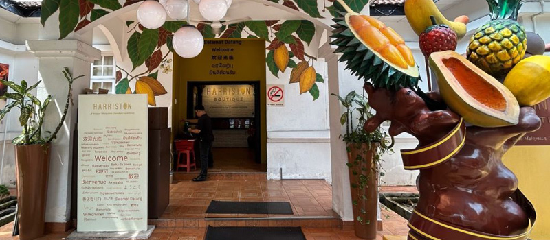 Pengalaman Berkunjung dan Aktivitas yang Bisa Dilakukan di Rumah Coklat