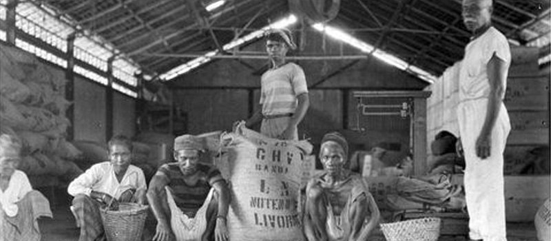 Sejarah Awal Perkebunan Pala di Banda Neira