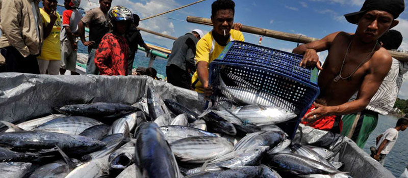 Kekayaan Laut dan Sumber Daya Alam Kepulauan Maluku