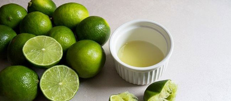 Ciri Khas dan Karakteristik Jeruk Kunci Belitung